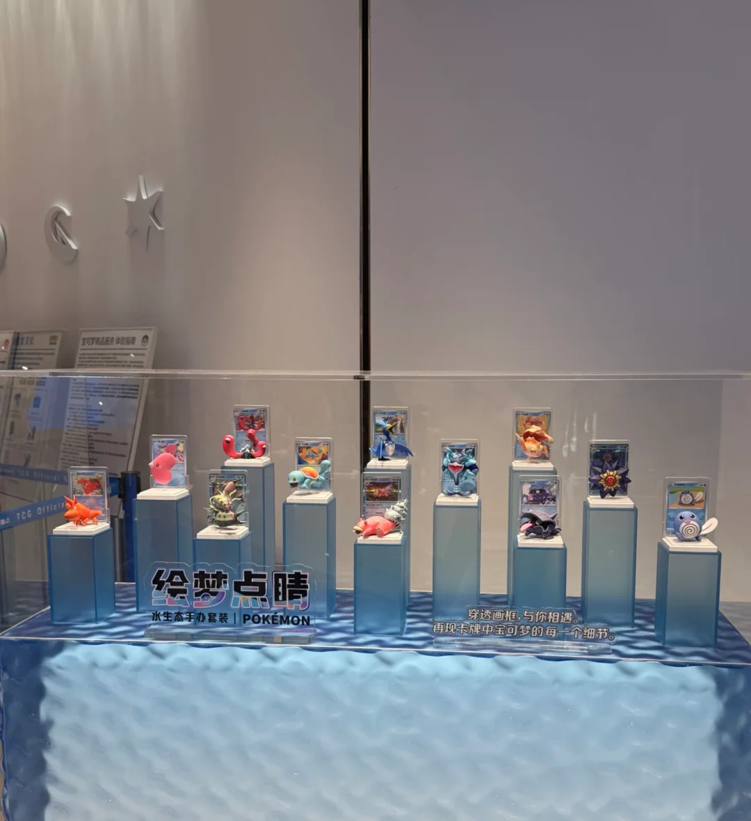 角金鱼绝美！！！