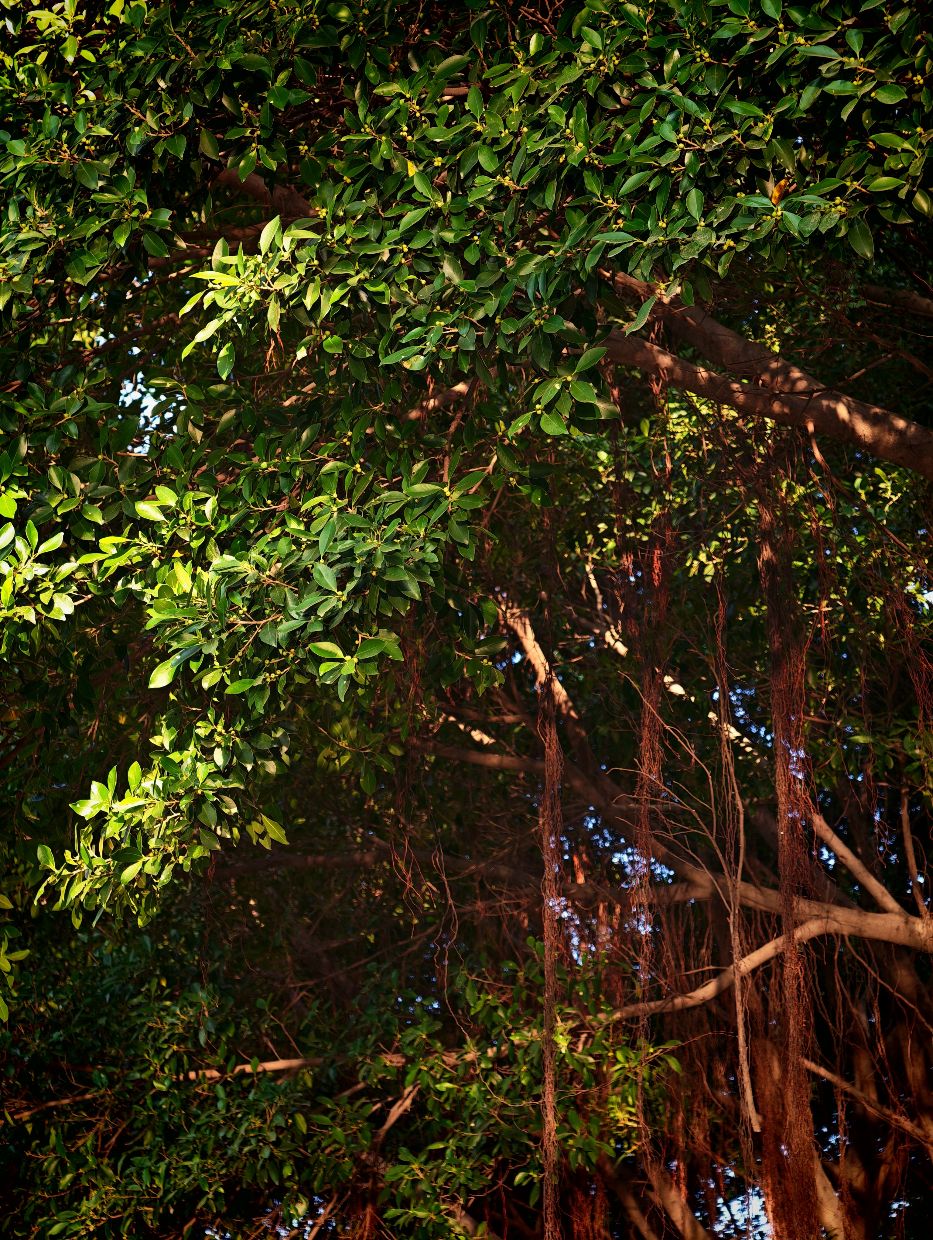 📷 到河边走走。看到很有生活感的瞬间，享受到充足的阳光。 广州