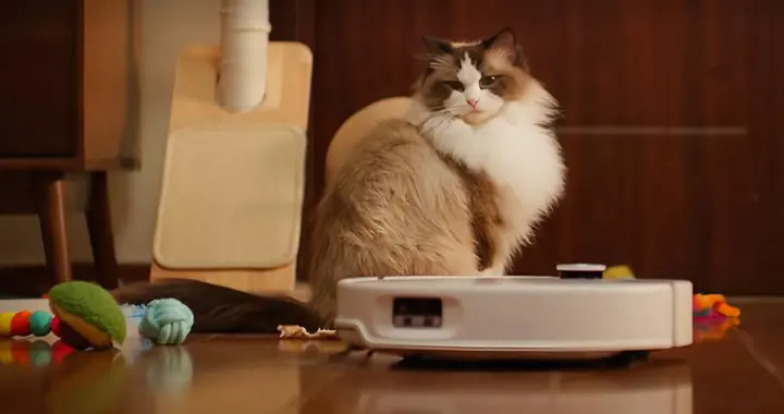 石头科技看似“疯”了，实则悟了