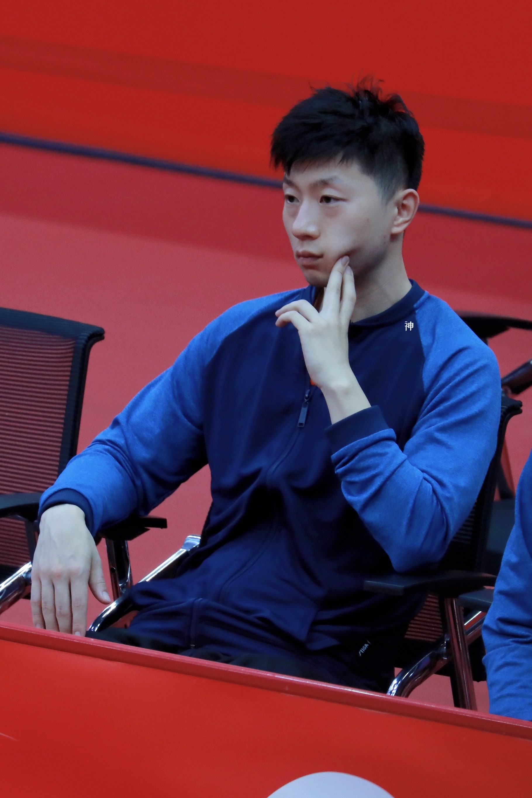 猫的脸颊是软软的 