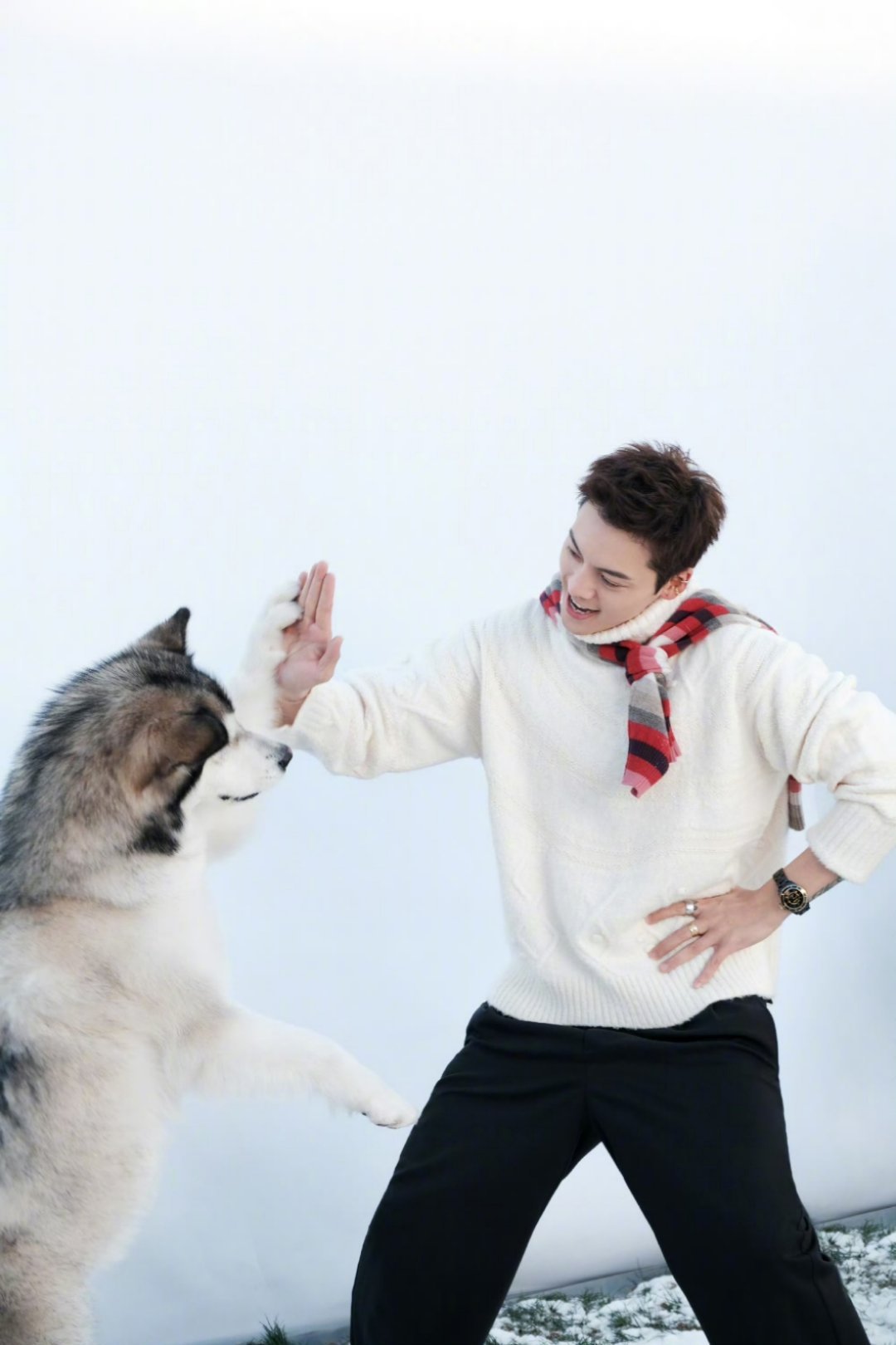 我不仅看Metal！我还要看你！！！！看陈伟霆和可爱小狗