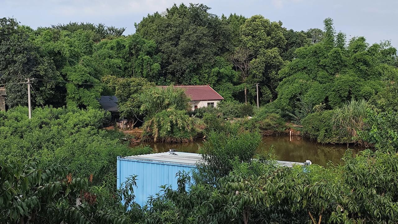夏日生活打卡季乡村风景欣赏分享一张自然风景照片