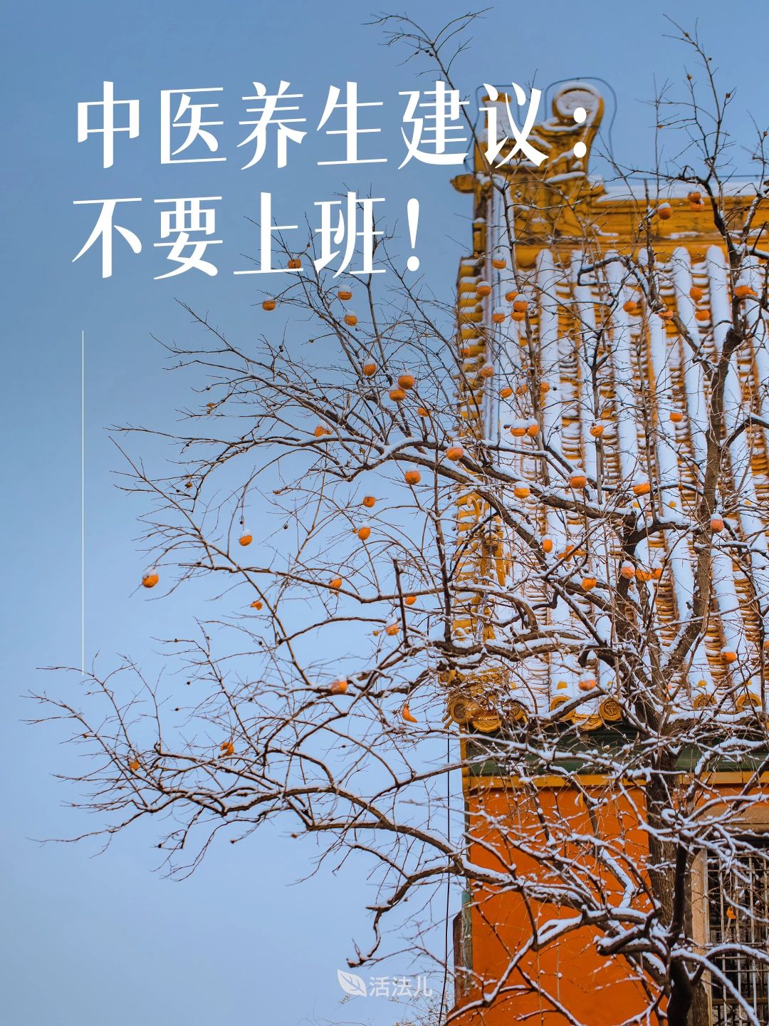 中医养生建议：不建议上班！