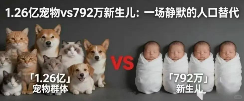 我国0到14岁儿童总计2.2亿，而猫狗宠物数量就达到1.2亿。 