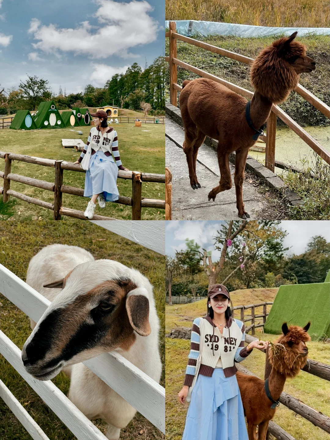 趁没人发现赶紧来玩🍂可以直接开车逛的公园