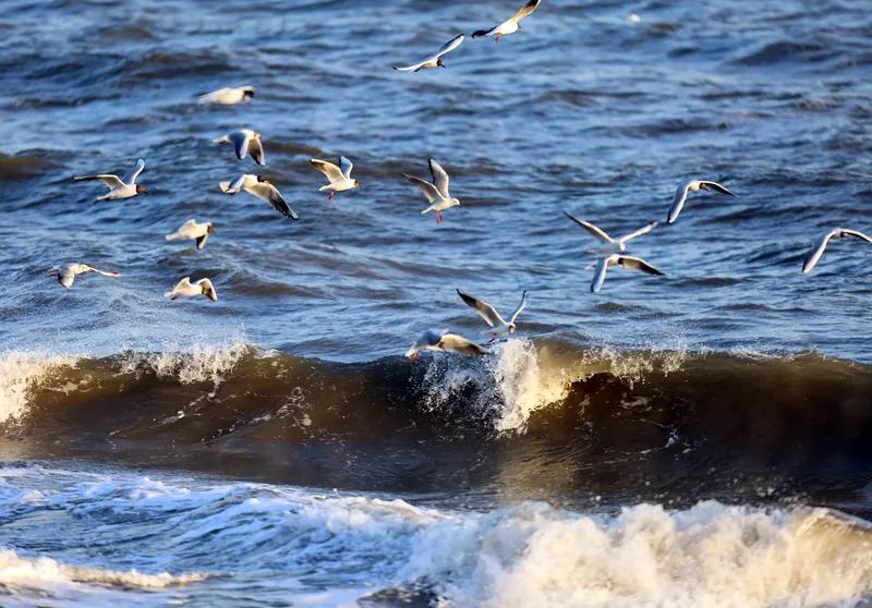 人生好似海中涛，
一浪低来一浪高。
起起伏伏平常事，
风风雨雨任逍遥。