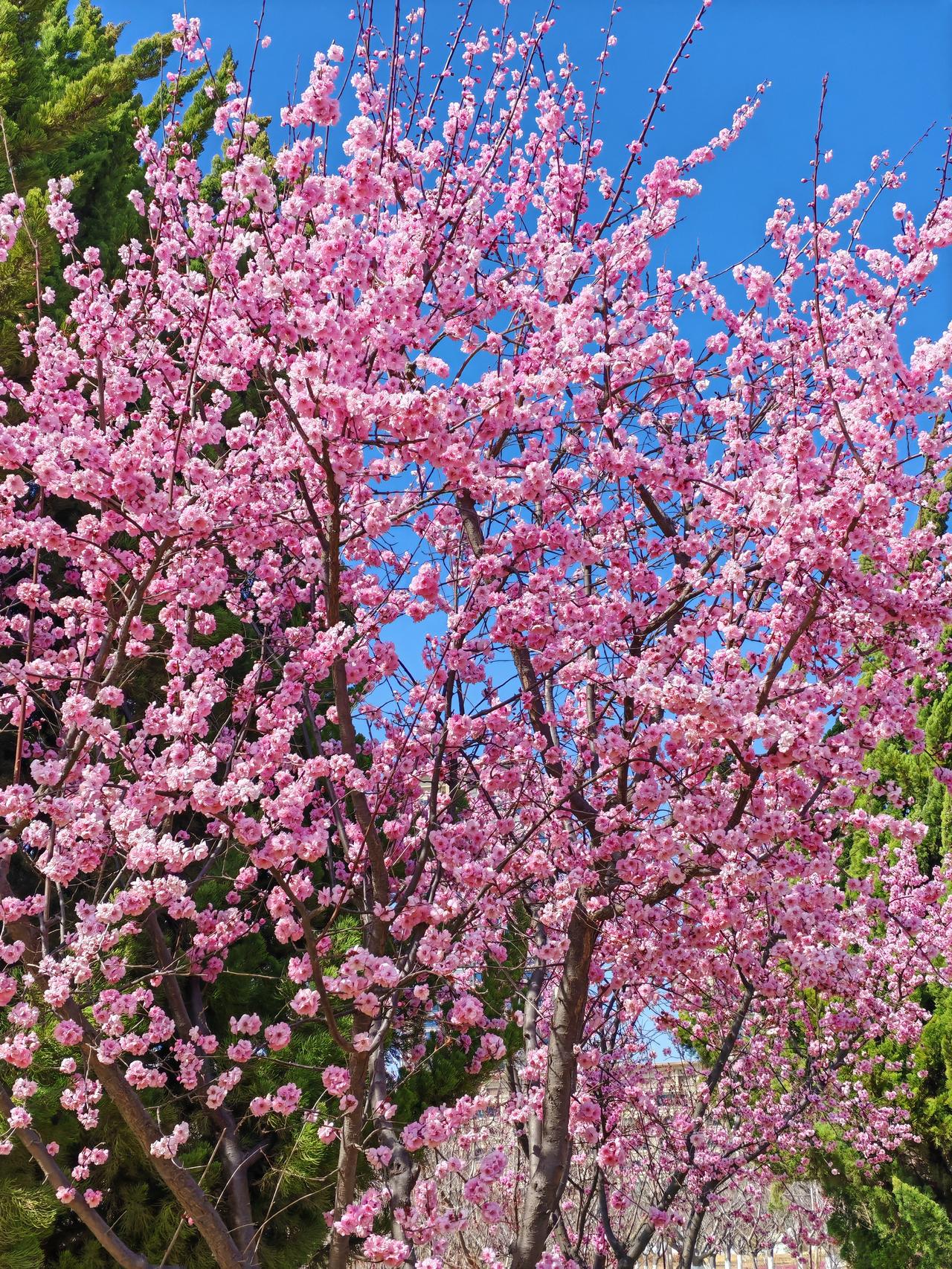 曾经有人说：谁家的锅底没有灰。
纵横四周，不管是富豪大佬，明星大亨，还是工薪牛马