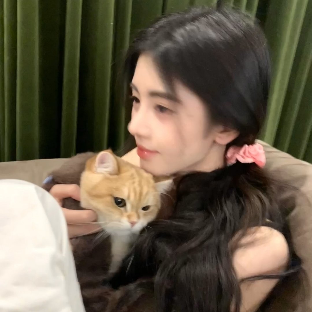鞠不修 鞠婧祎live截图关键词：撸猫拿图👍🏻➕🍎产出标明 
