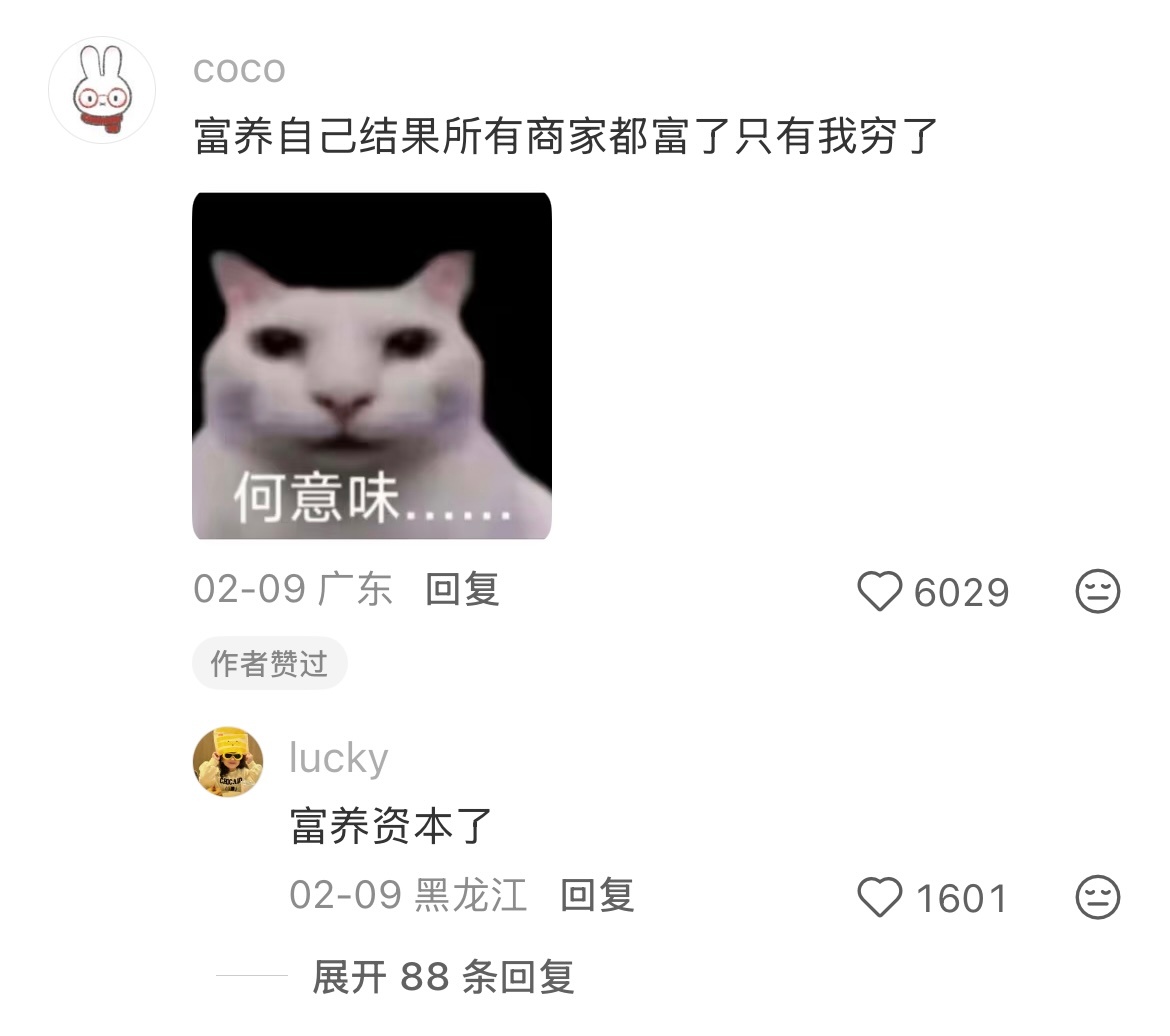 怎么所有主义最后都是让我买东西 