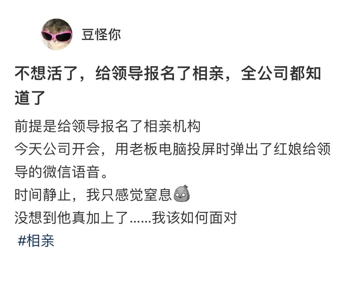 在相亲机构给领导报名了相亲[doge] ​​​