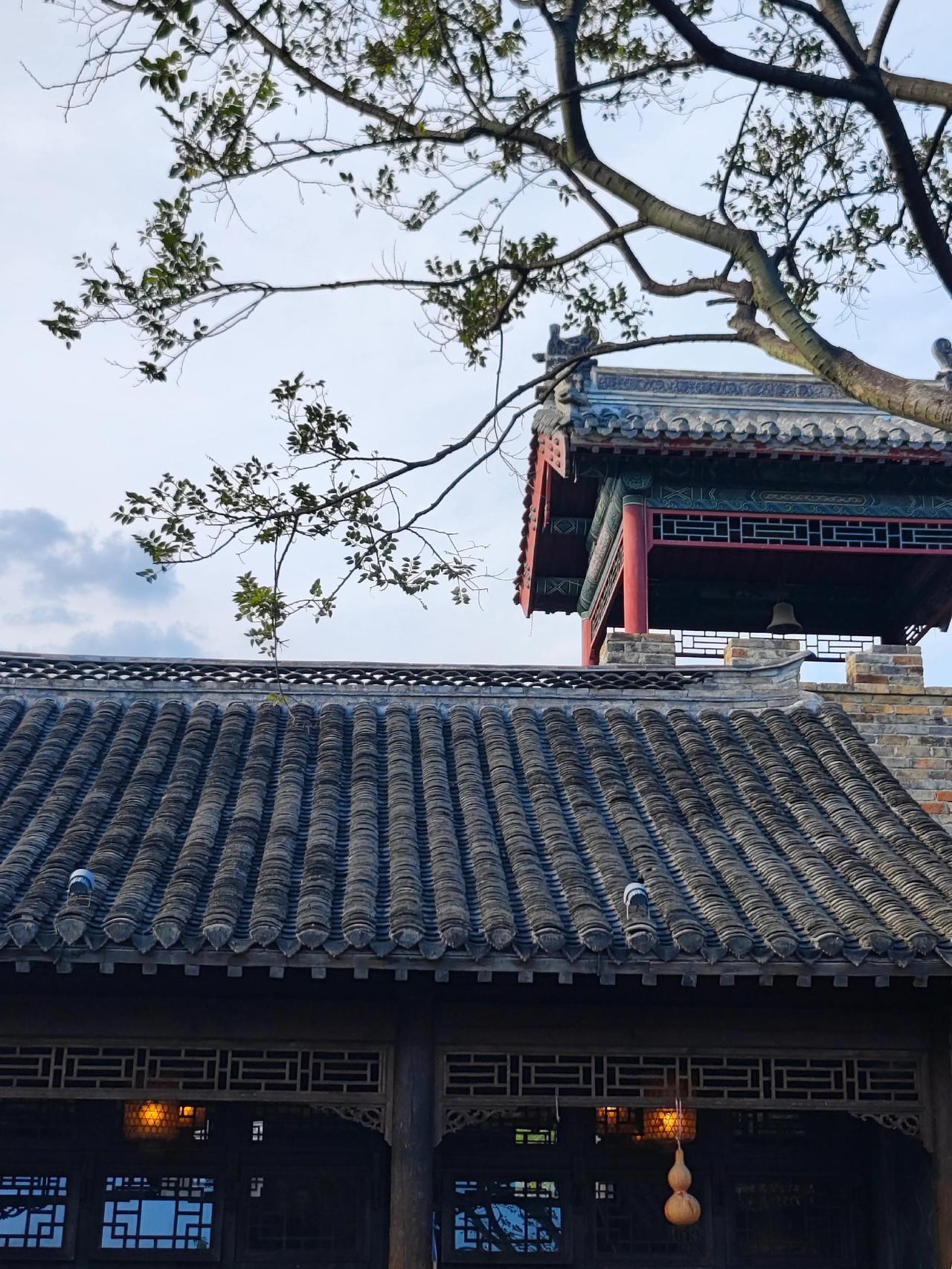 单曲循环