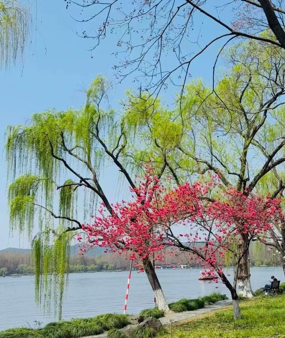 风吹春柳一堤绿，
霜打荷塘满眼秋。
虽然对仗不是工整，确实如此！
春风拂面，柳枝