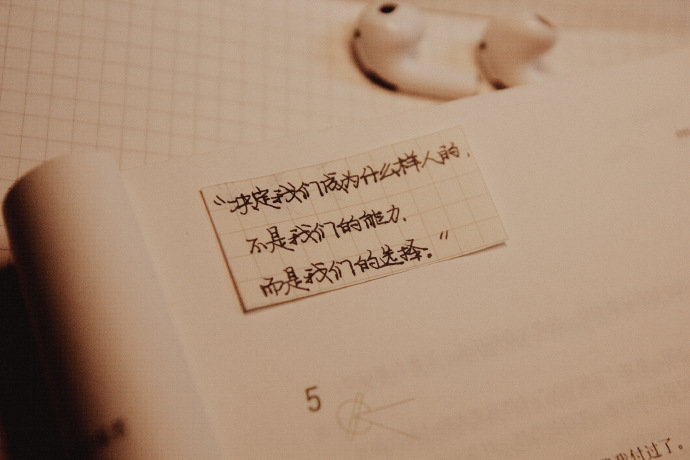 “决定我们成为什么样人的，不是我们的能力，而是我们的选择。”——— 《哈利波特》