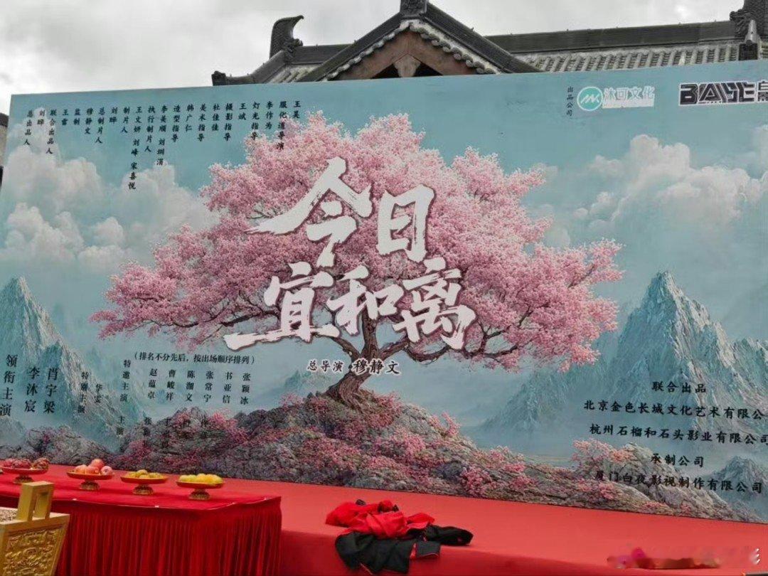 今日宜和离开机 李沐宸肖宇梁《今日宜和离》开机，开机大吉！李沐宸肖宇梁开机同框李