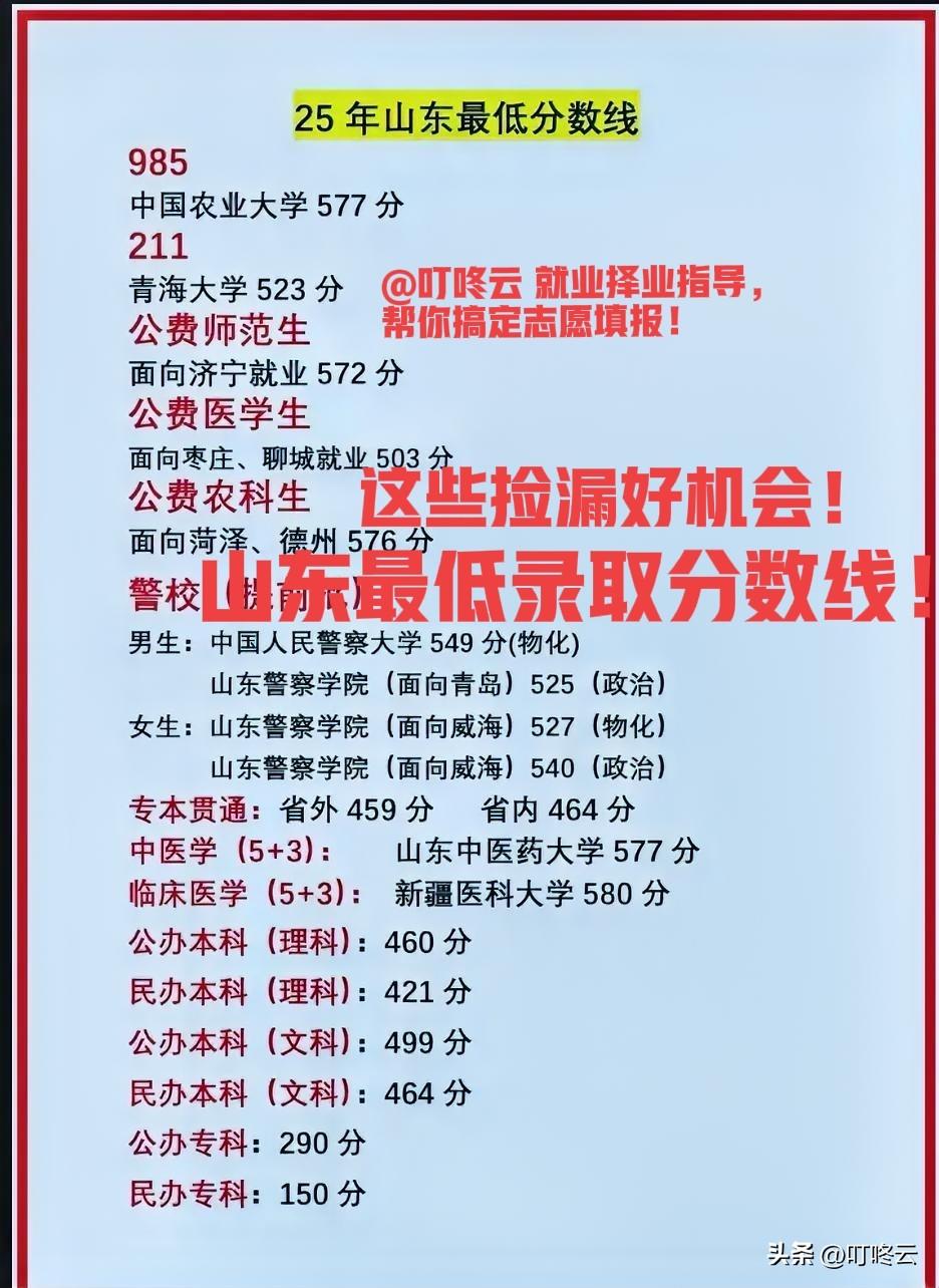 捡漏好机会来了！✨2025山东高考志愿填报｜低分逆袭黄金指南：- 🎯 梯度志愿