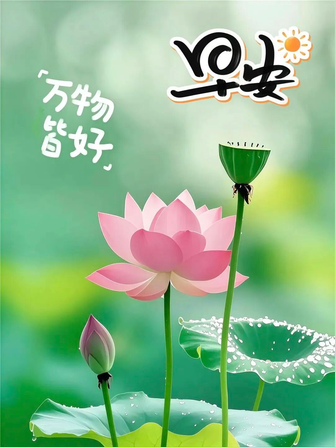 写文案早安！态度松一点，心就轻一点，心轻一点，路就宽一点，路宽了，机会和财运，都
