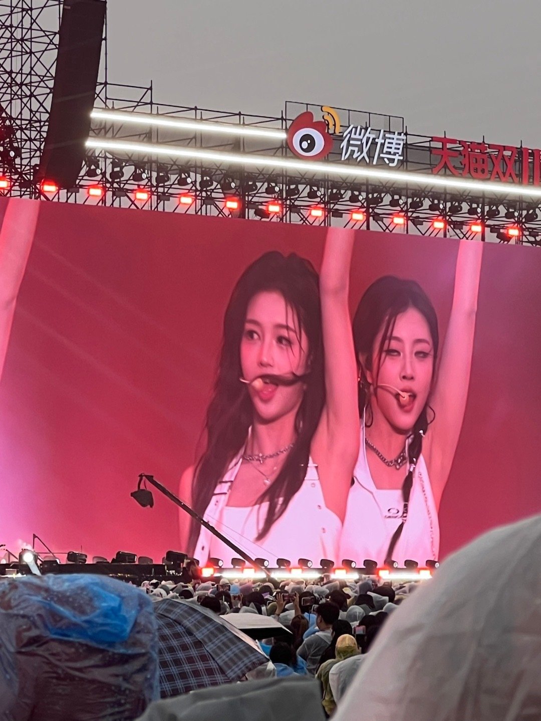 哎哟这小兔[求关注]胡静怡赤颜一 ​​​