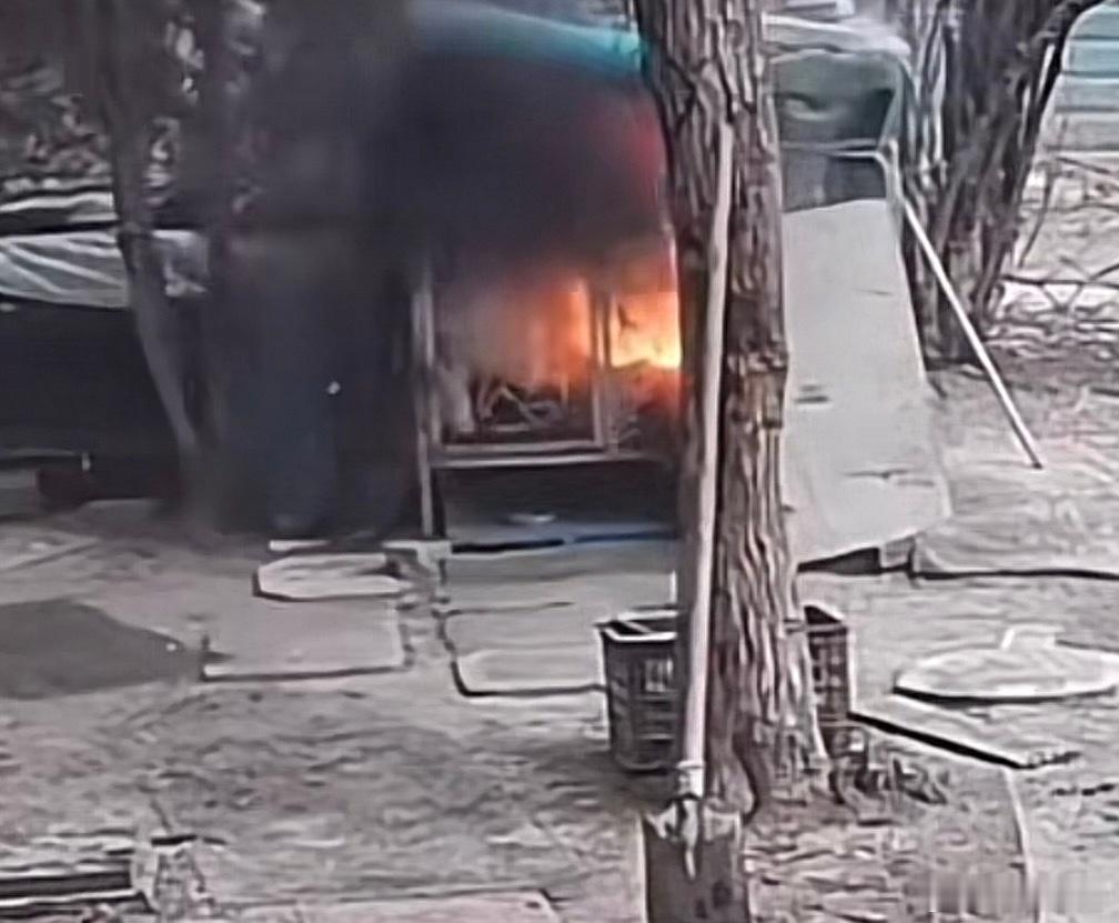 一只被关在笼子里的萨摩耶被活生生烧死。 放火的凶手竟然是两个小孩，他们把狗笼点燃