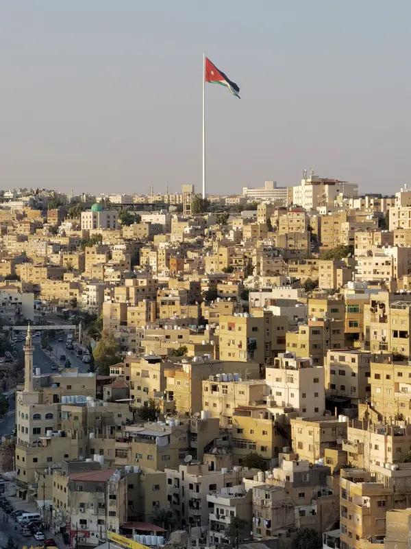 沙特代表指出，地区内长期存在的冲突和不稳定因素严重阻碍了经济发展和民生改善，必须