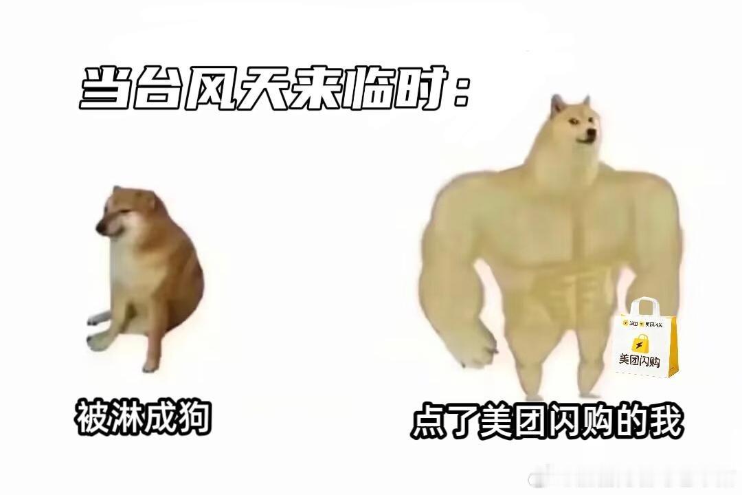 台风位置暴雨狂风出门不便，家里猫砂突然见底！美团闪购半小时火速送到，关键时刻解决