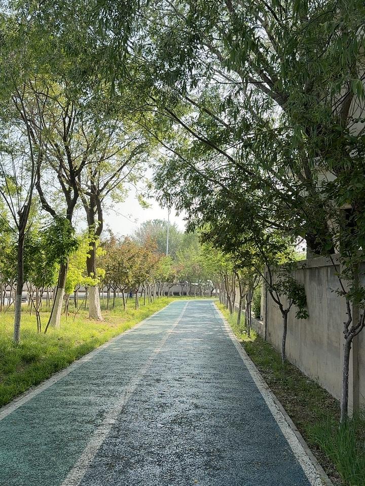 午后林荫路，风凉少行人。
享受好风景，时光暖我心。
