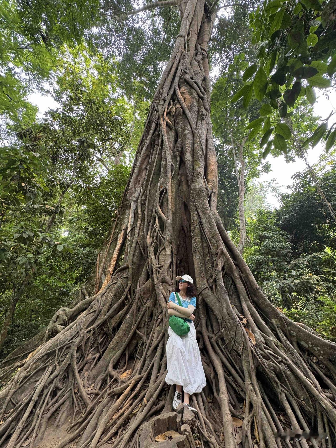 欧洲女孩，穿着三点式在老挝景区晒身材，带孩子的年轻父母，和孩子水中嬉戏。

这里