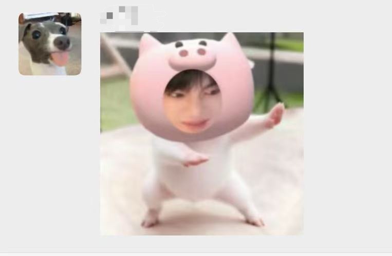 小乐乐不猪不猪… 