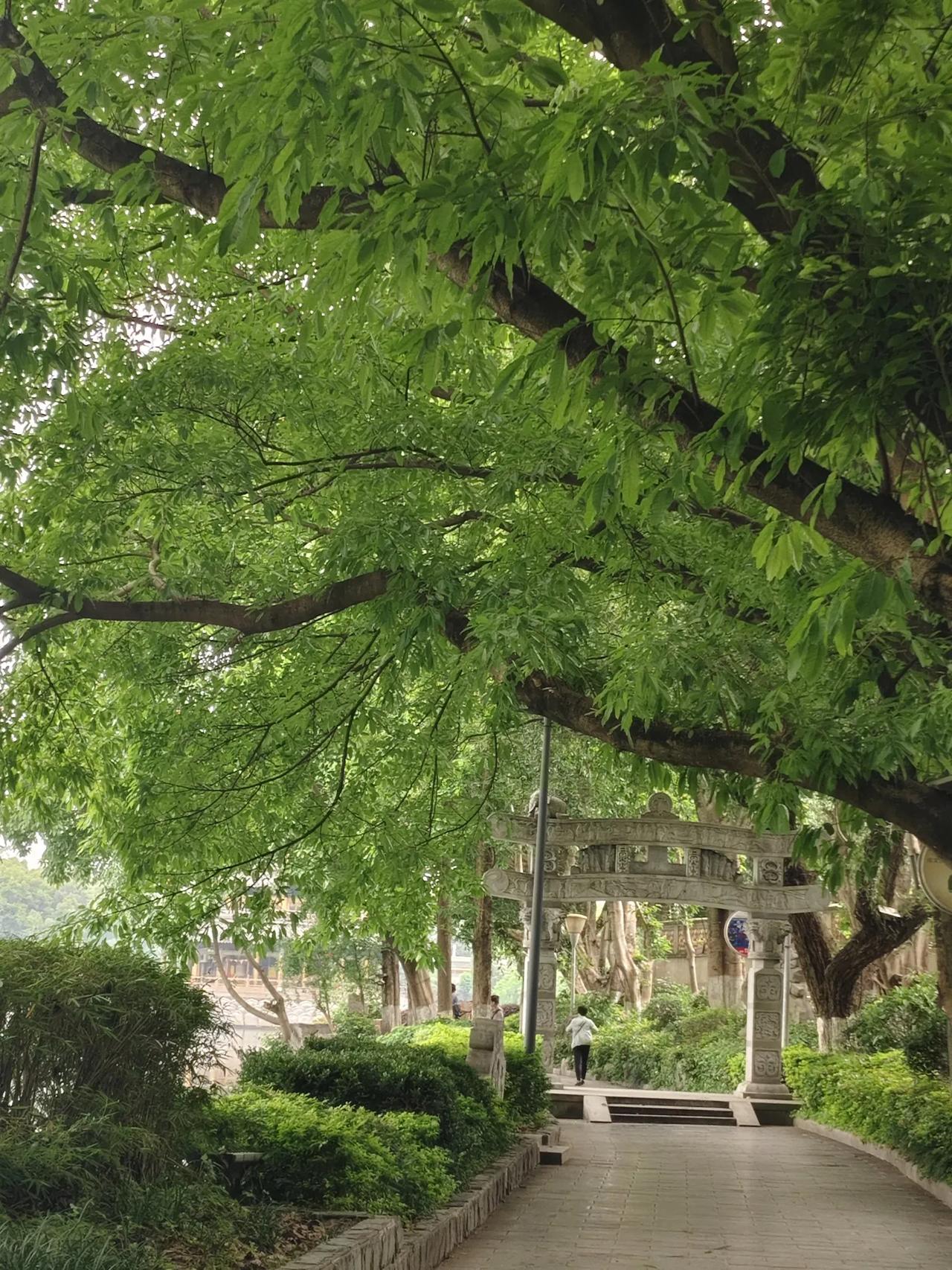 每天都要开心呀。