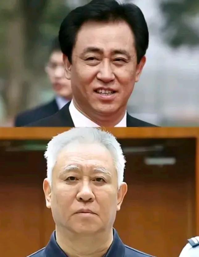曾经的意气风发，化为乌有！

如今的他满头白发，余生都要在里面了。

欠的那么多