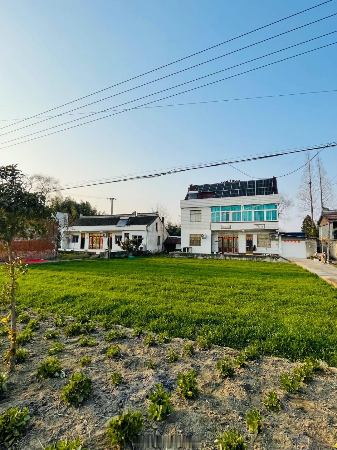 花1.3万买了2000平米的乡下小院其实我还是更喜欢住在城里……乡下的房子再大，
