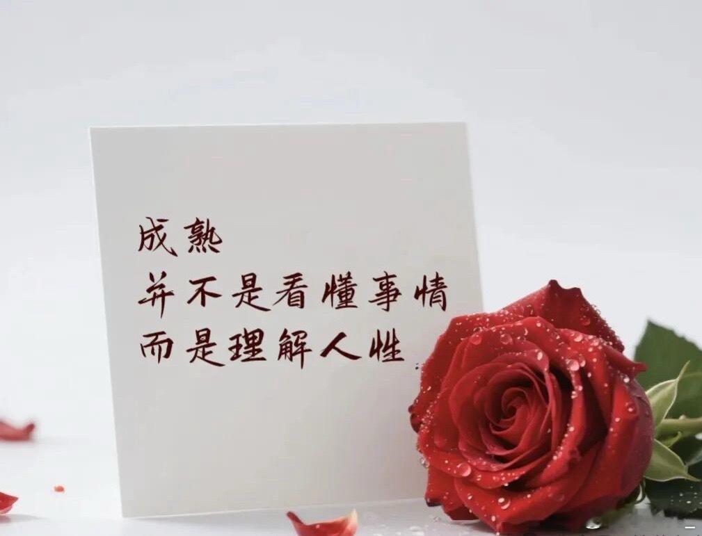 不是所有关系都值得推敲，不是所有真心都能换来真心，与人性较劲，就像用手抓月光，越