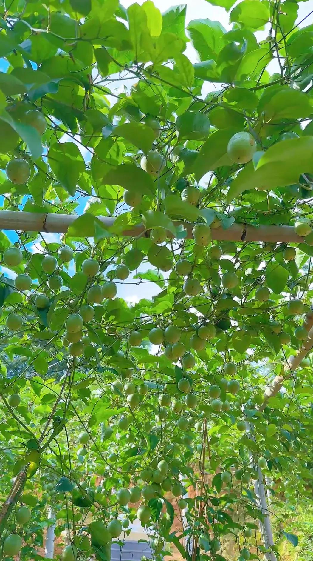 对于你现在的生活状态，给我两个字，累，累