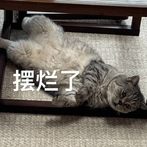 吴京票房成绩位列第二据shams：亚当-肖华已告知联盟30支球队的总经理，NBA