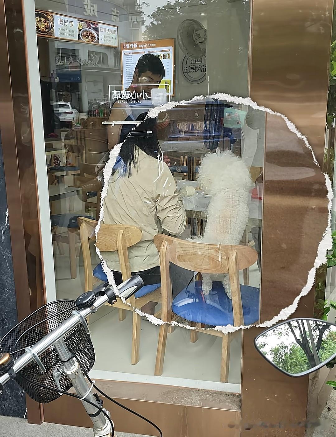 又是狗上桌，湖北鄂州的朋友避雷魏厨煲仔饭这家店吧，狗主人点餐，狗就坐在旁边，那么