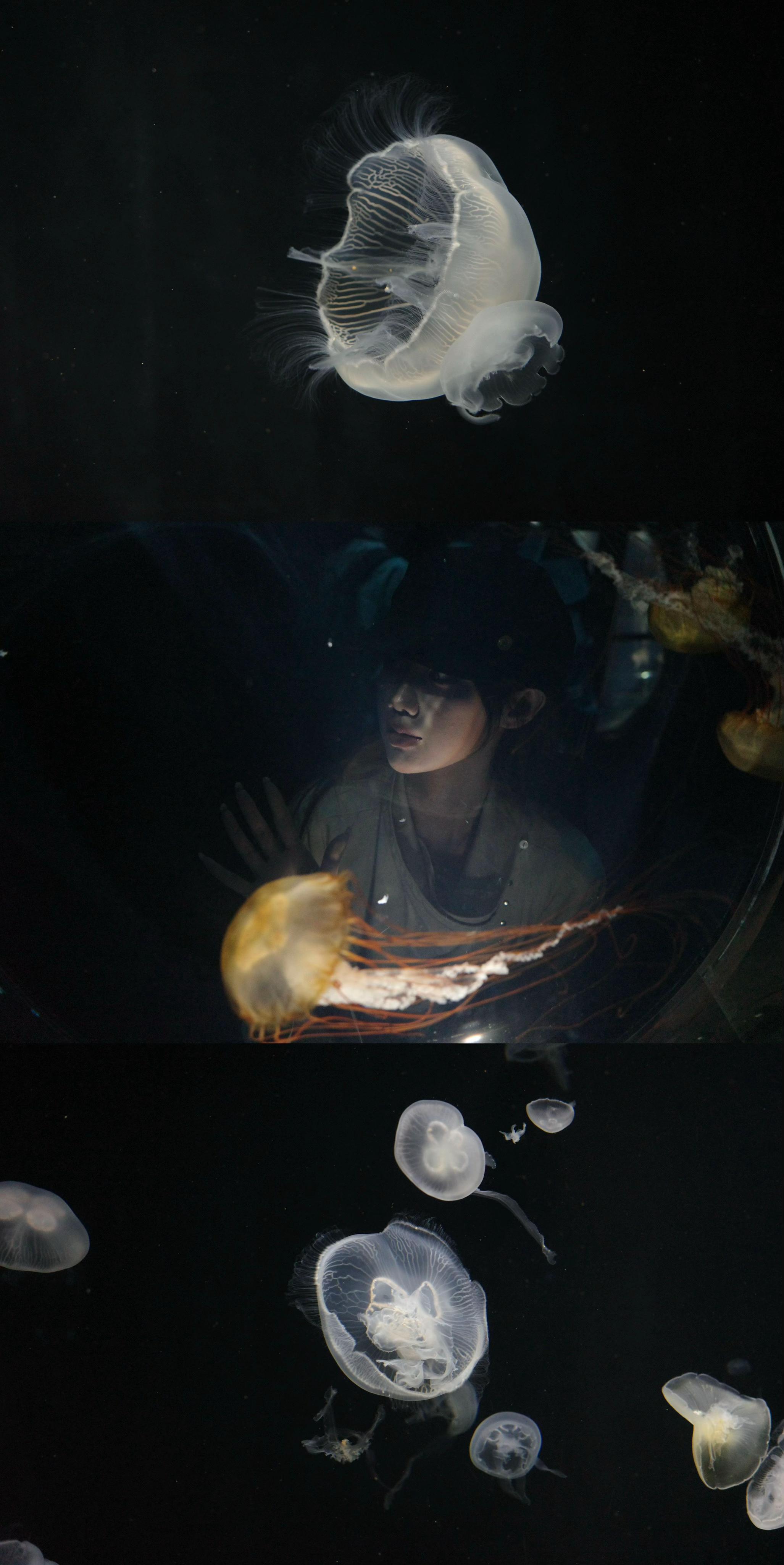 “你想去很多地方”