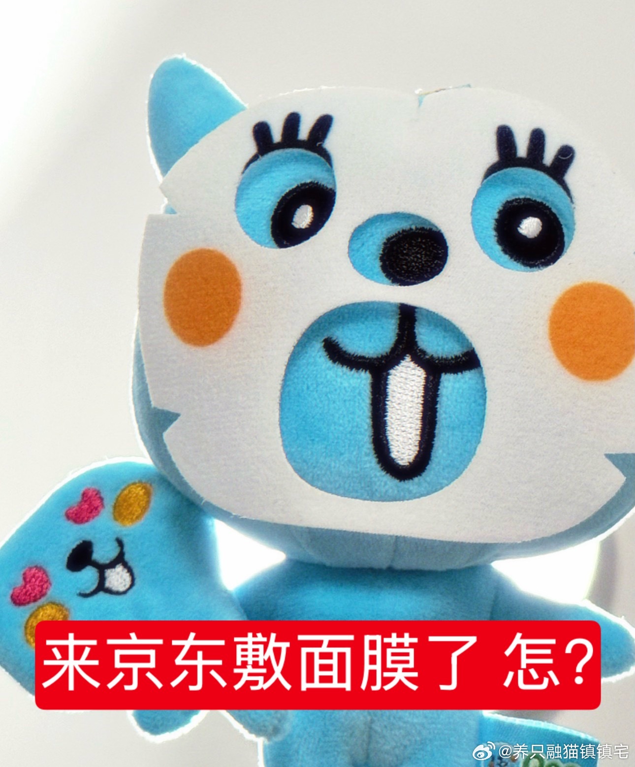 分享图片 