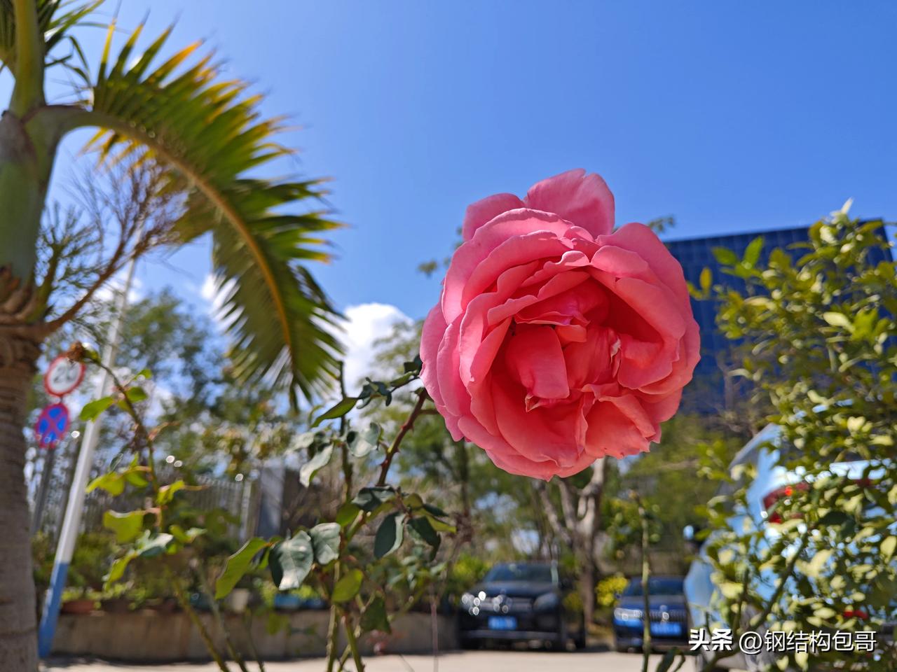 别只羡慕网红日入斗金，这行光鲜背后，全是拿命、拿前途在赌。
 
健康高危：直播猝