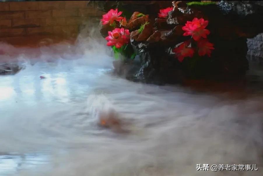 泡温泉最特别、独一无二的好处，
 尤其对中老年人友好
1. 不用动、不用练、躺着