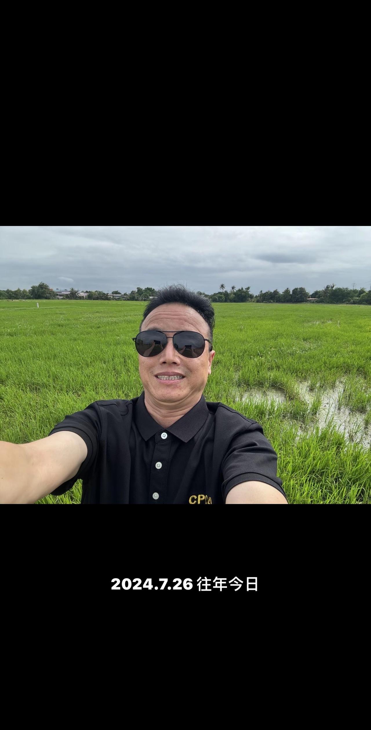 欣赏泰国🇹🇭水稻种植基地