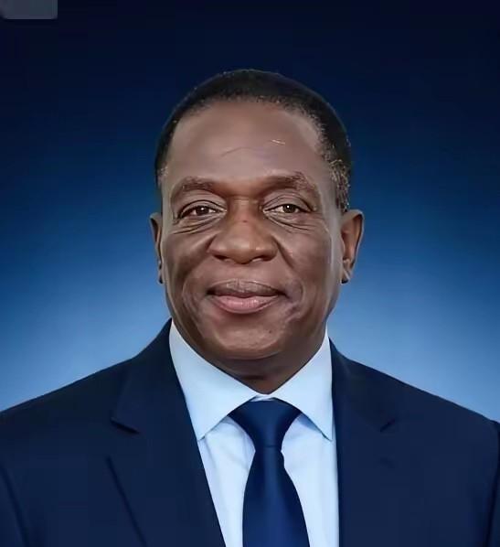 前脚巴拿马不顾中方反对，强行接管了巴拿马港口，后脚津巴布韦突然宣布暂停锂矿出口。