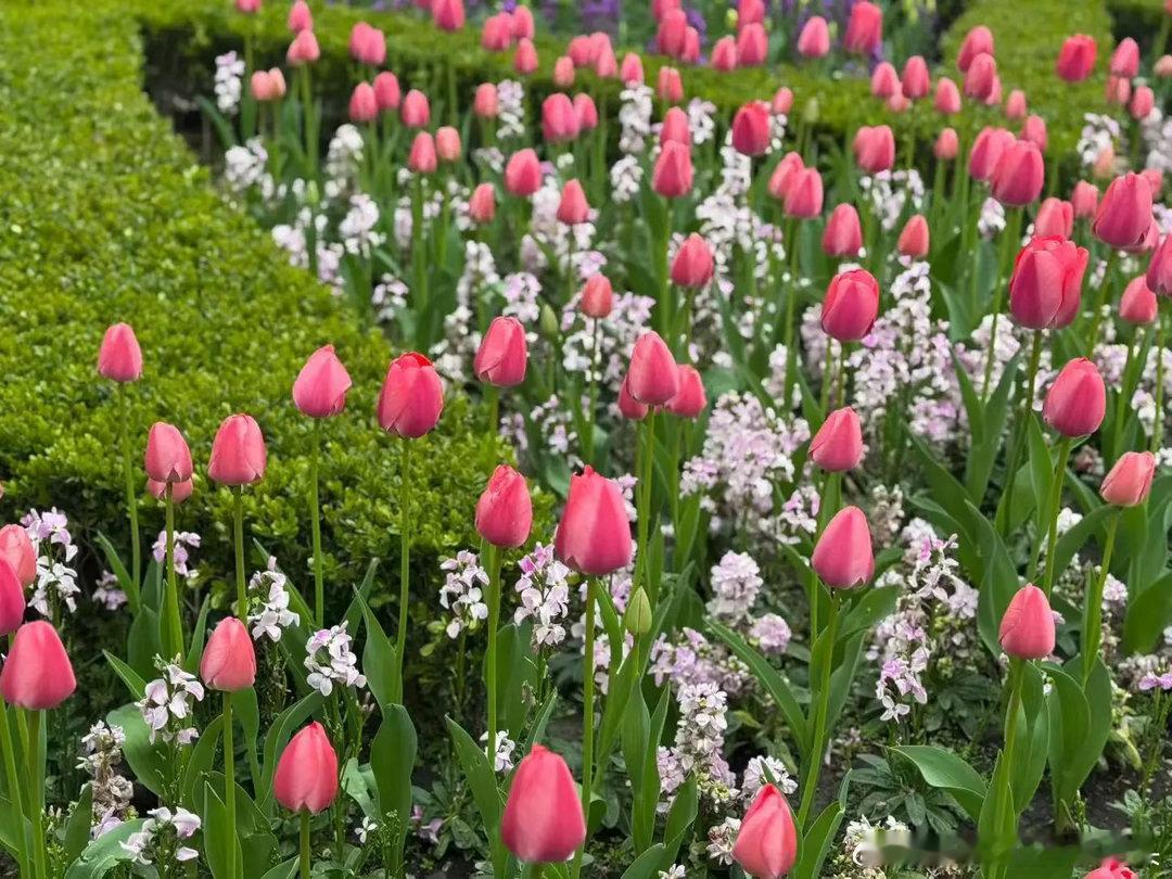 今天盘中再次探底，基本符合预期，随后回升，显示整体下探的边界已经比较清晰。由于出