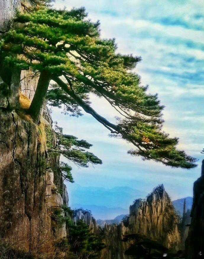 一粒饱满的树种，要想变成参天大树，必须忍受泥土的掩埋，风雨的洗礼。很多东西都是这