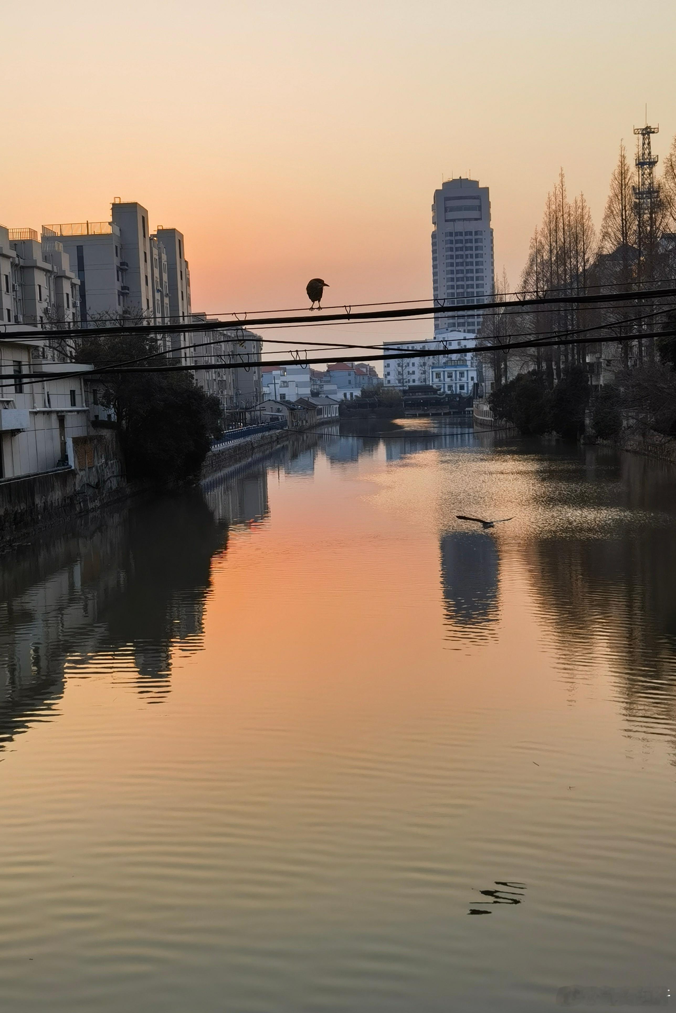 此情此景，看着令人思想澄澈！《傍晚的钓鱼者》独钓寒江旁，孤鸟立斜阳。寒风冷飕飕，