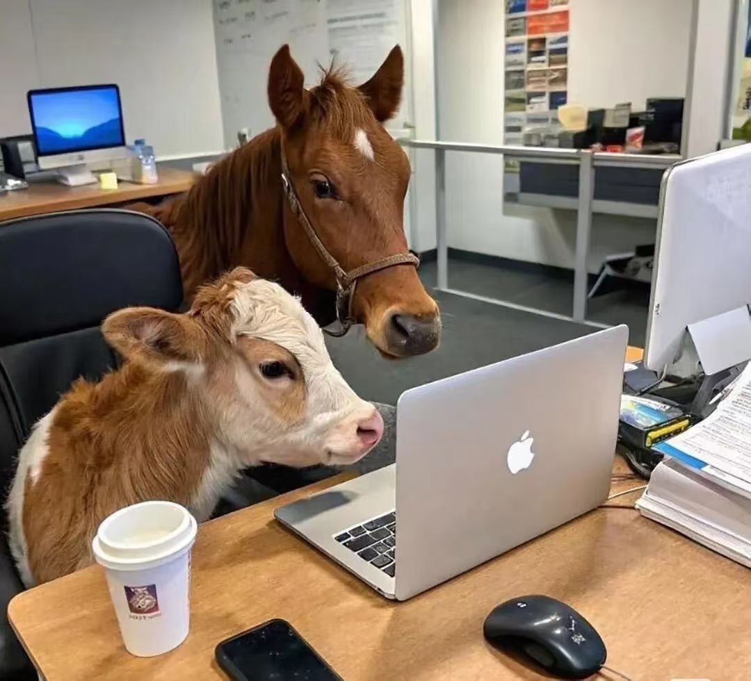 周末愉快童粉们一周的工作已经结束，童粉照常回到公司进行一周的复盘总结，为下周制定