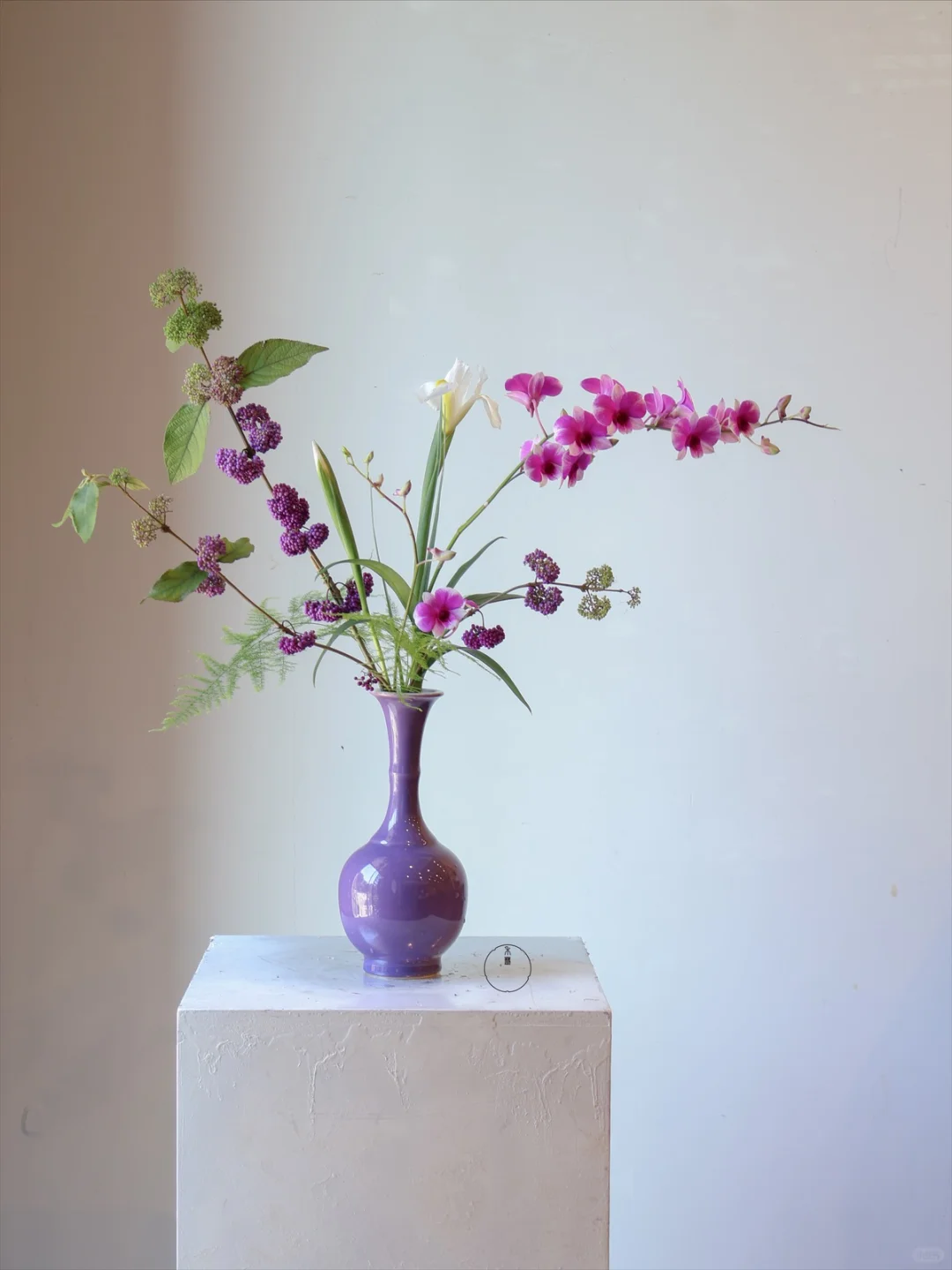舒展飘逸的瓶花