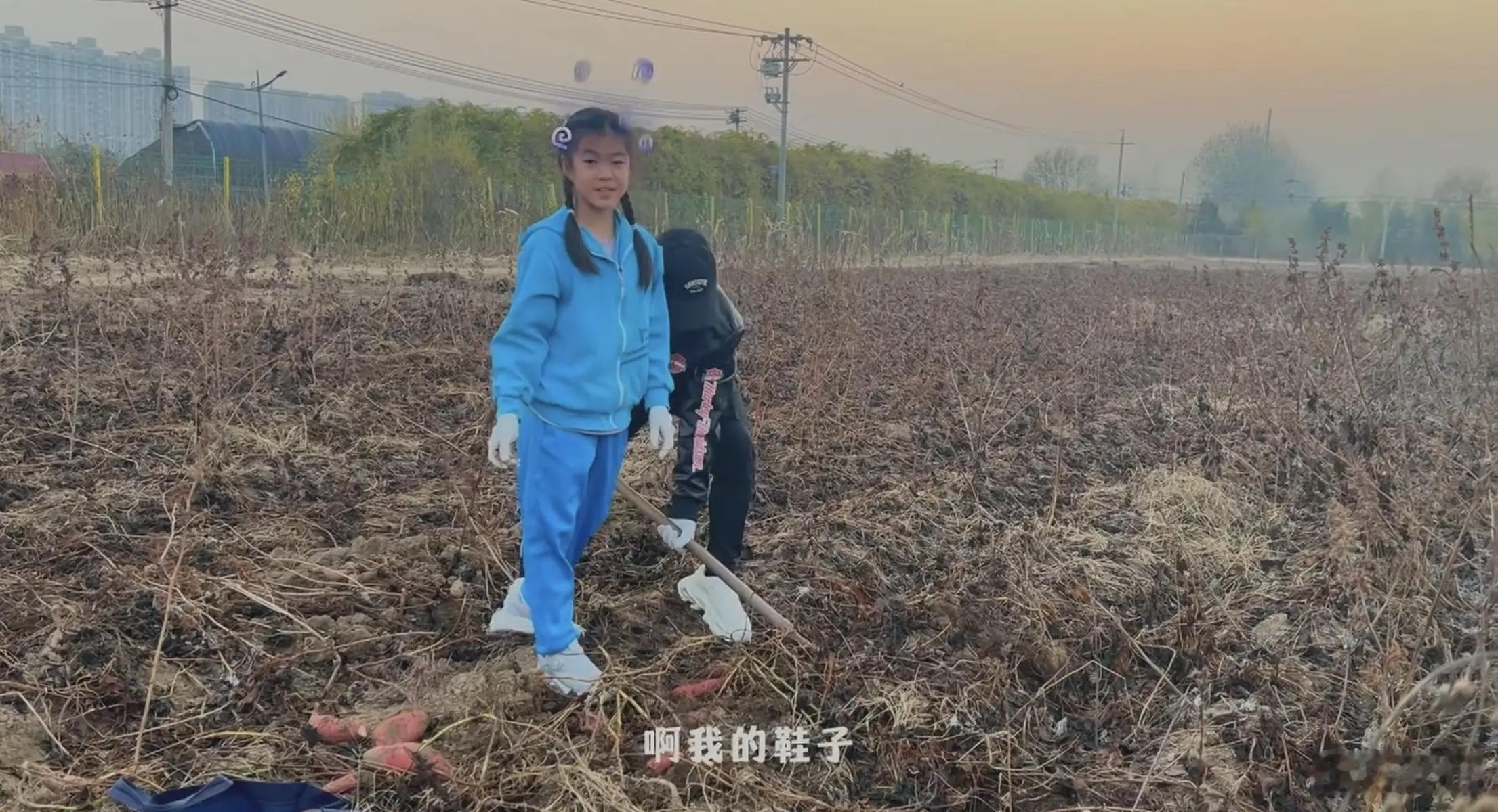 汪峰带女儿醒醒挖红薯 父女俩分工合作画面温馨有爱