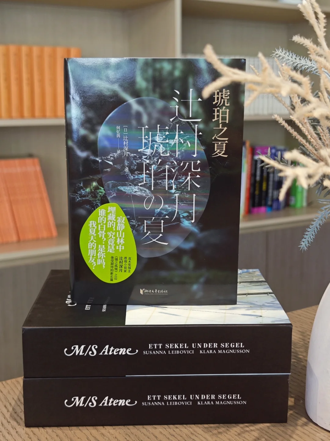 是辻村深月啊！温柔细腻中透露着青春的悲伤