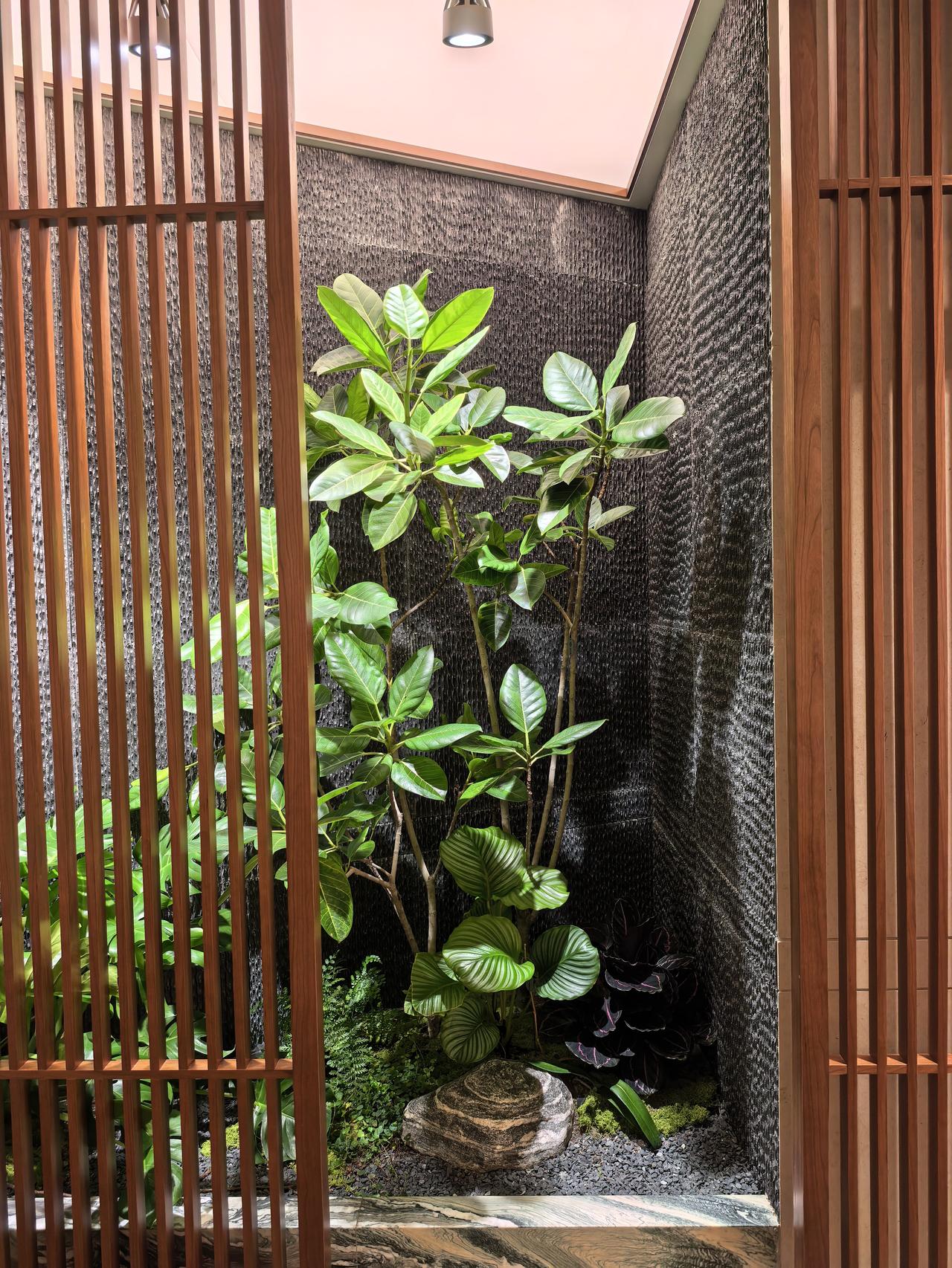 AI复盘：汇川技术A股本周走势分析及展望

一、本周股价走势回顾

本周（6月2