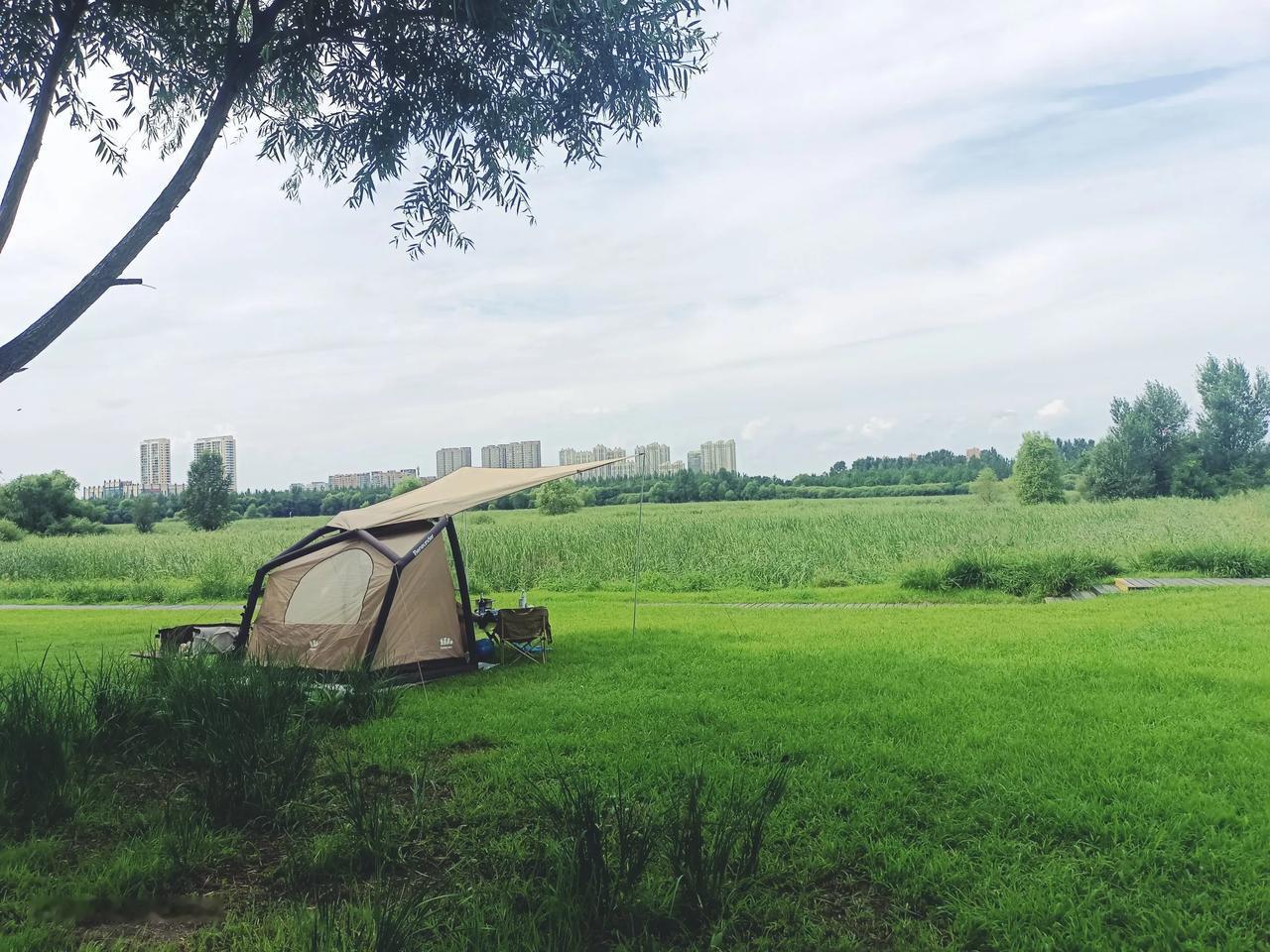 老师掌撑中学生，看了视频居然还是女生。打人不打脸。多少让人觉得不舒服。但看看老师