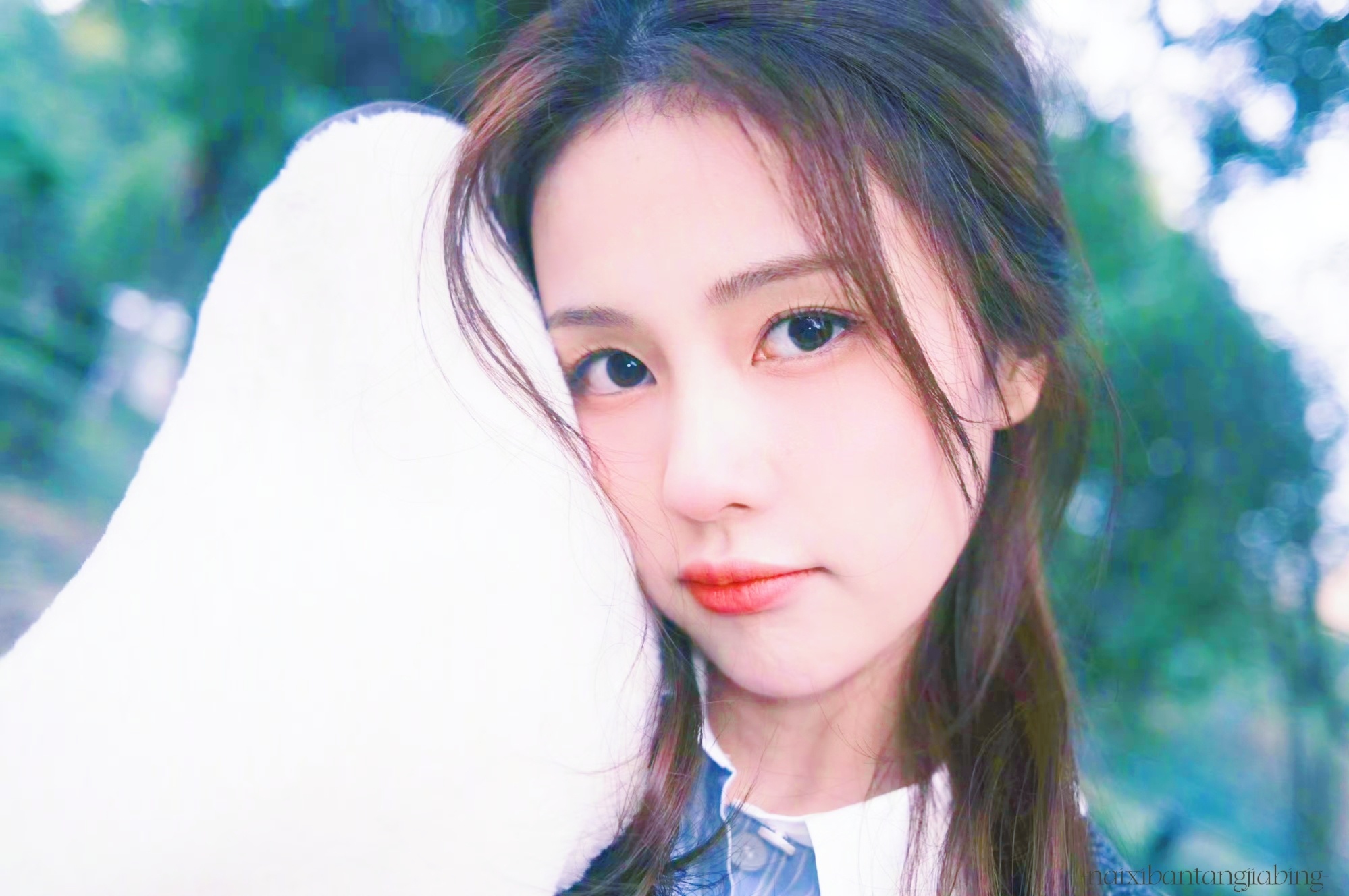 青春疼痛文学女主白鹿  专栏 · 𐙚⊹小菠甜饼✉~★°